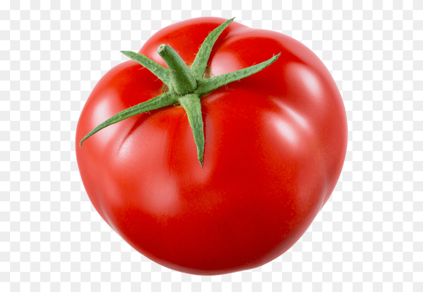 545x520 Tomate Para Recortar, Plant, Apple, Fruit HD PNG Download