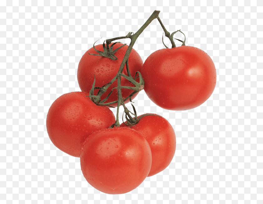 547x593 Tomato, Plant, Food, Vegetable HD PNG Download