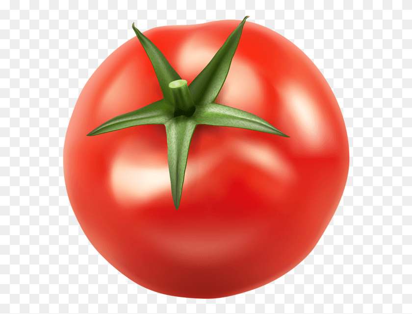 586x581 Tomato, Plant, Vegetable, Food HD PNG Download
