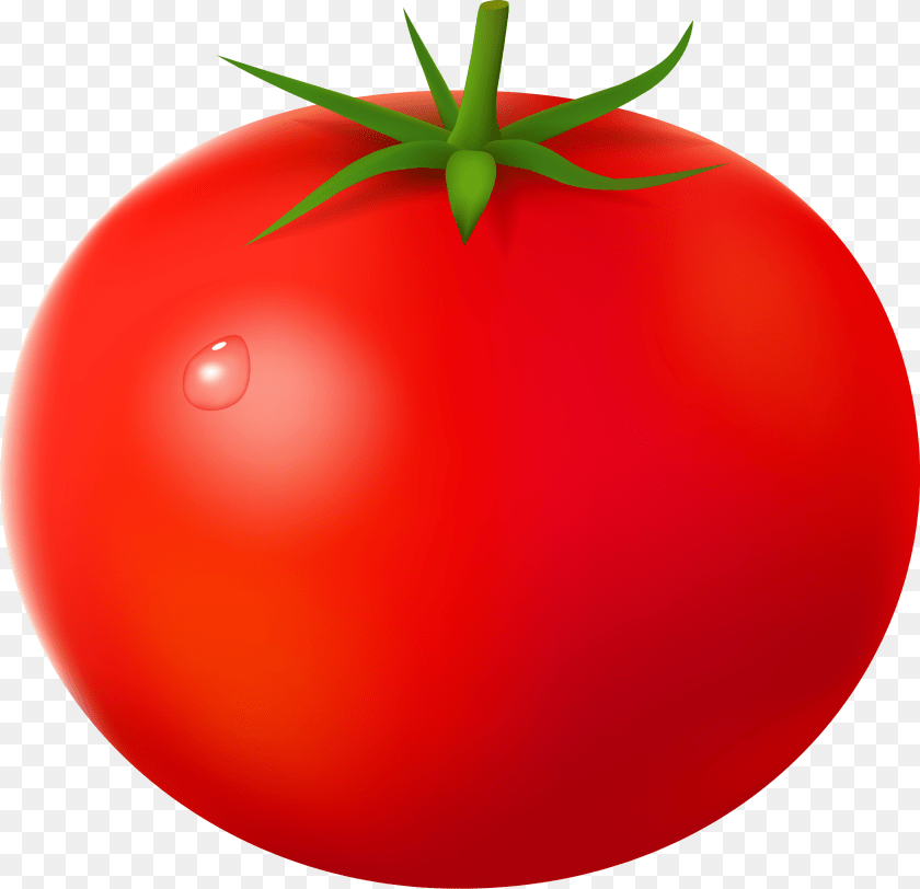 Tomato, Vegetable, Food, Produce, Plant Clipart PNG
