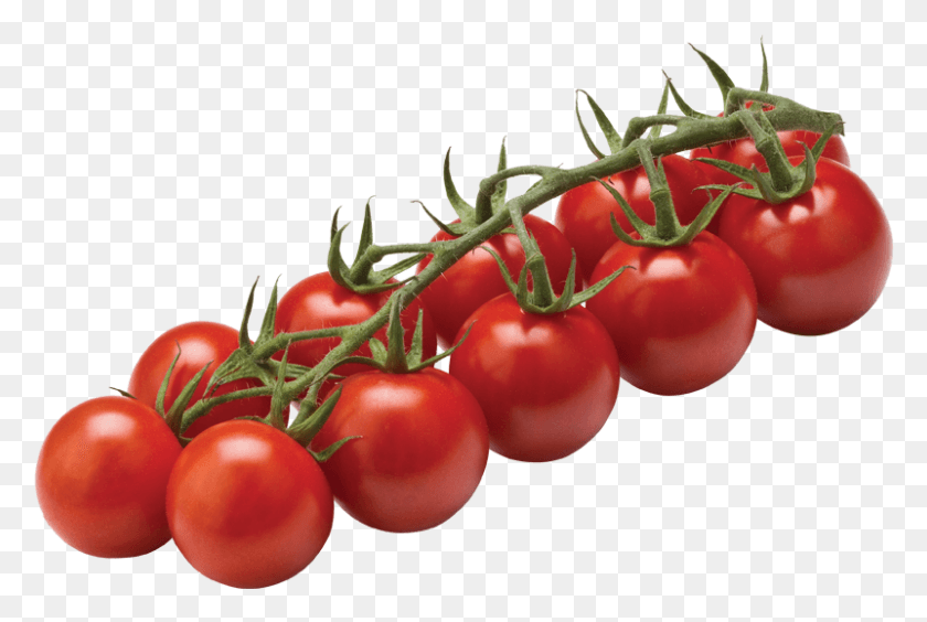 801x518 Tomato Cherry On Vine, Plant, Vegetable, Food HD PNG Download