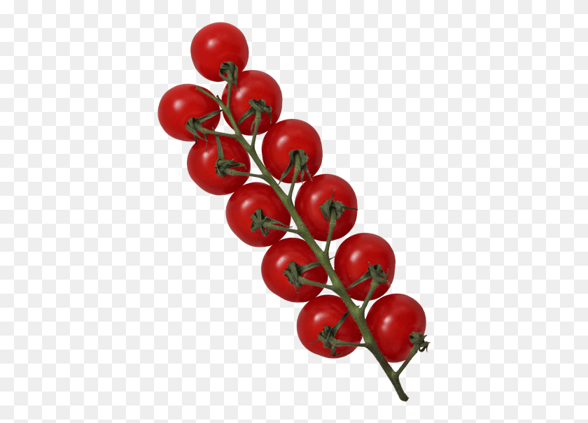 392x545 Tomato Cherry Tomatoes, Plant, Vegetable, Food HD PNG Download