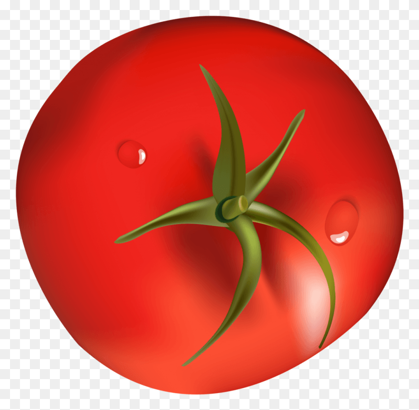 1001x978 Tomato Clipart 483 Bird Tomato, Plant, Vegetable, Food HD PNG Download