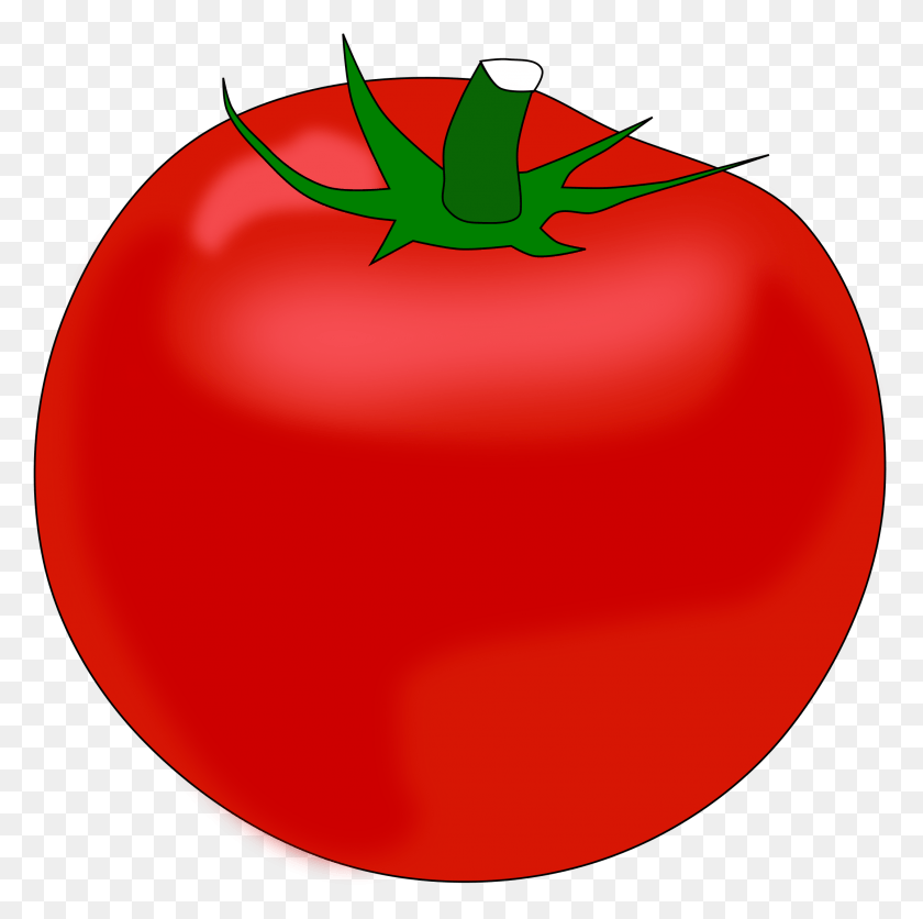 2153x2143 Tomato Clipart Cartoon Red Tomato, Plant, Balloon, Ball HD PNG Download