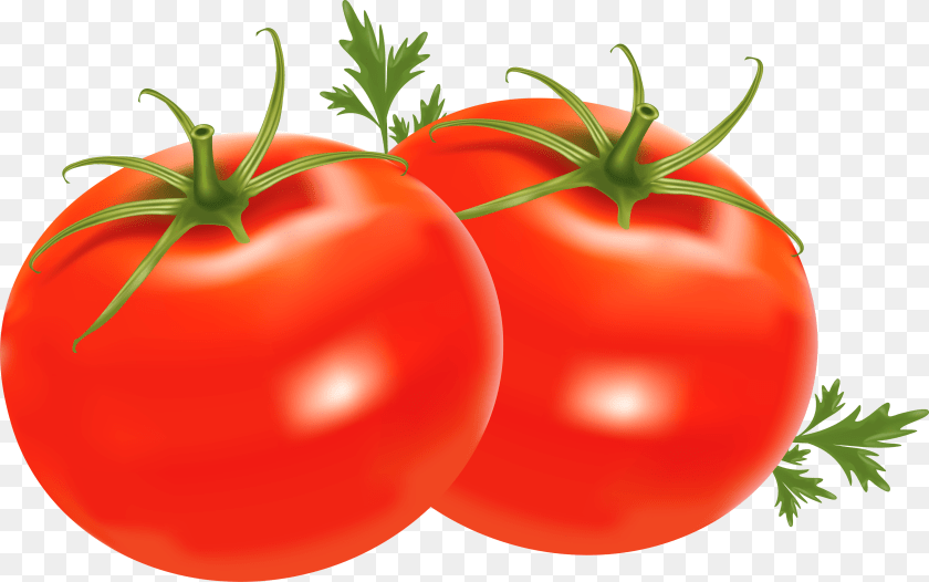 3552x2224 Tomato Drawing Kamatis Vegetable Tomato In Clip Art, Food, Plant, Produce Transparent PNG