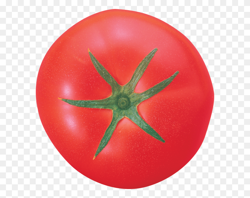 600x606 Tomato Free Plum Tomato, Plant, Vegetable, Food HD PNG Download