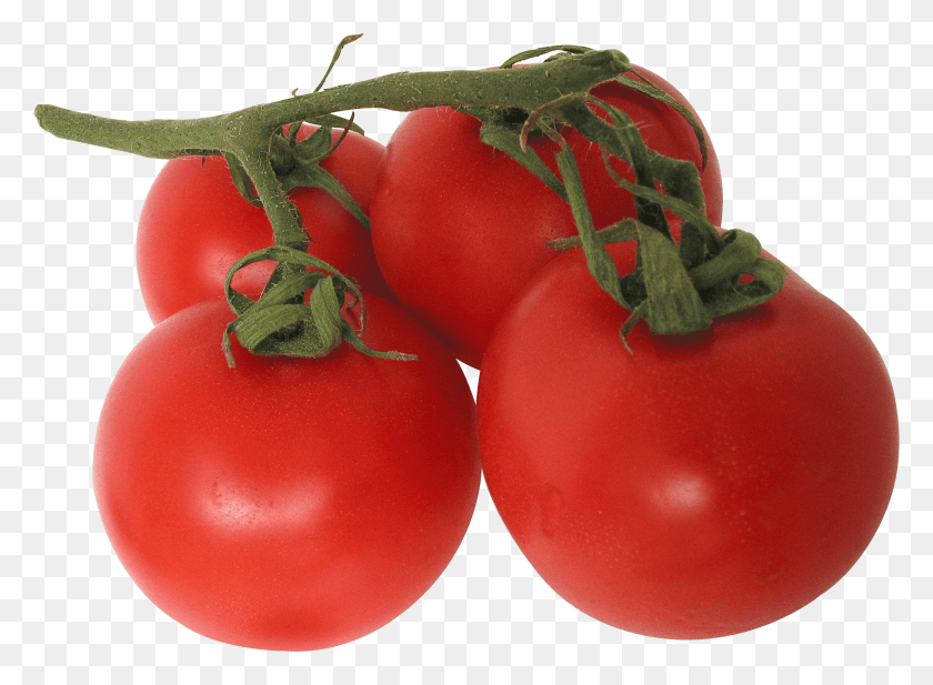 2476x1770 Tomato Image Image Transparent Background Tomatoes, Plant, Vegetable, Food HD PNG Download