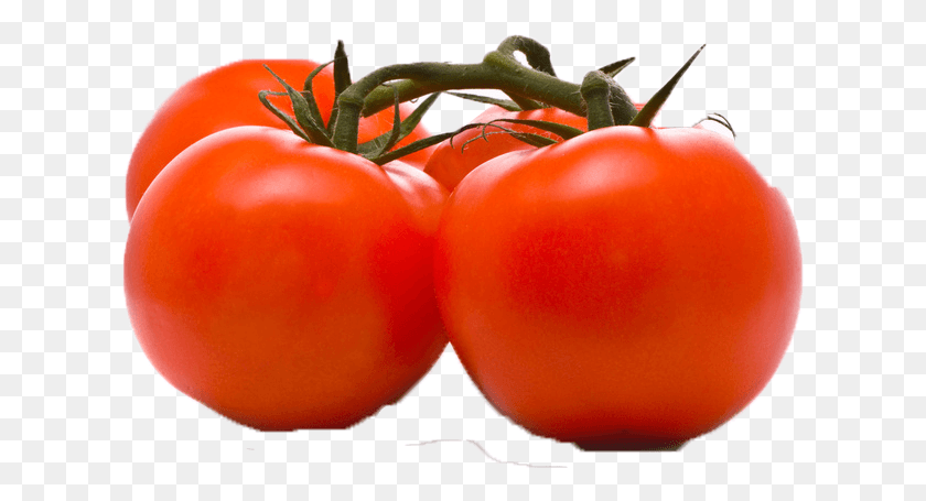 619x395 Tomato Image Three Tomatoes Clipart, Plant, Vegetable, Food HD PNG Download
