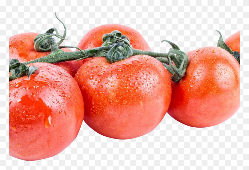 1025x676 Tomate Png / Tomate De Bush Hd Png