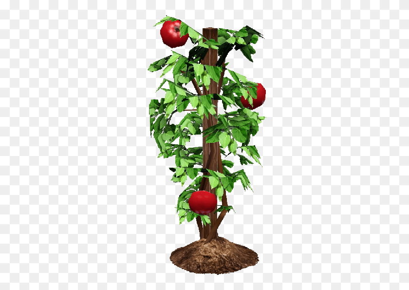 254x535 Tomato Plant Tomato Plant Transparent Clipart, Leaf, Tree, Vase HD PNG Download
