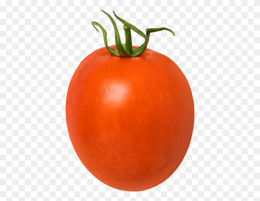 419x591 Tomato Plum Tomato, Plant, Food, Vegetable HD PNG Download