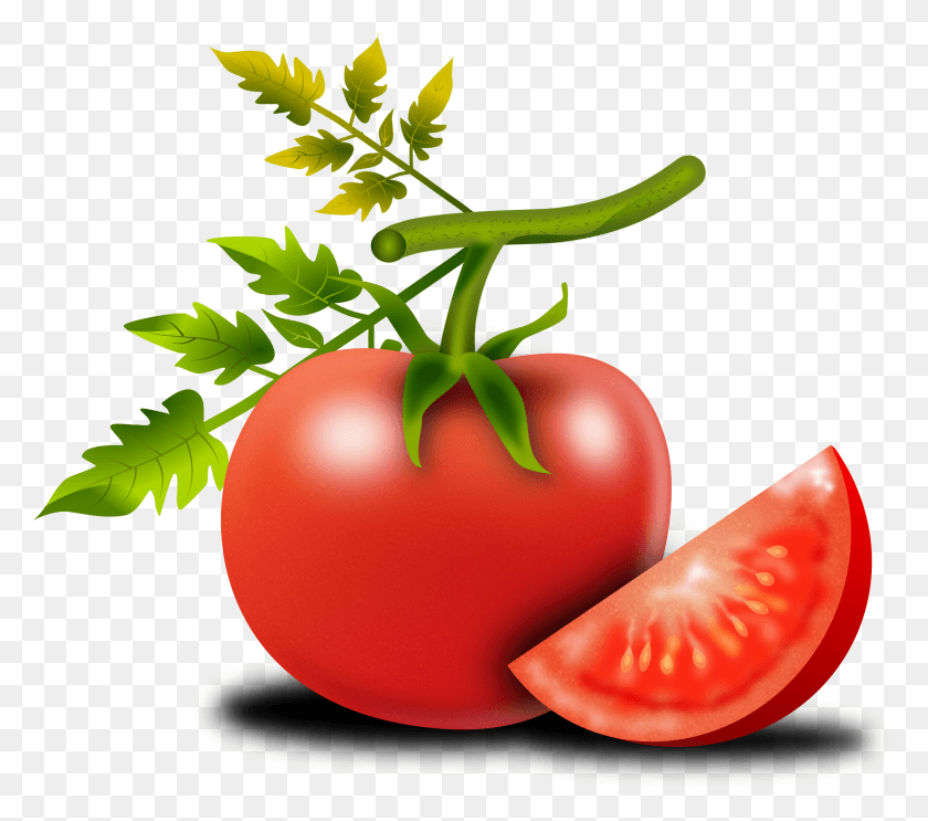 2233x1956 Tomato Shop Of Library Buy Clip Beautiful Tomato And Tree Background Images In Editing, Plant, Vegetable, Food HD PNG Download