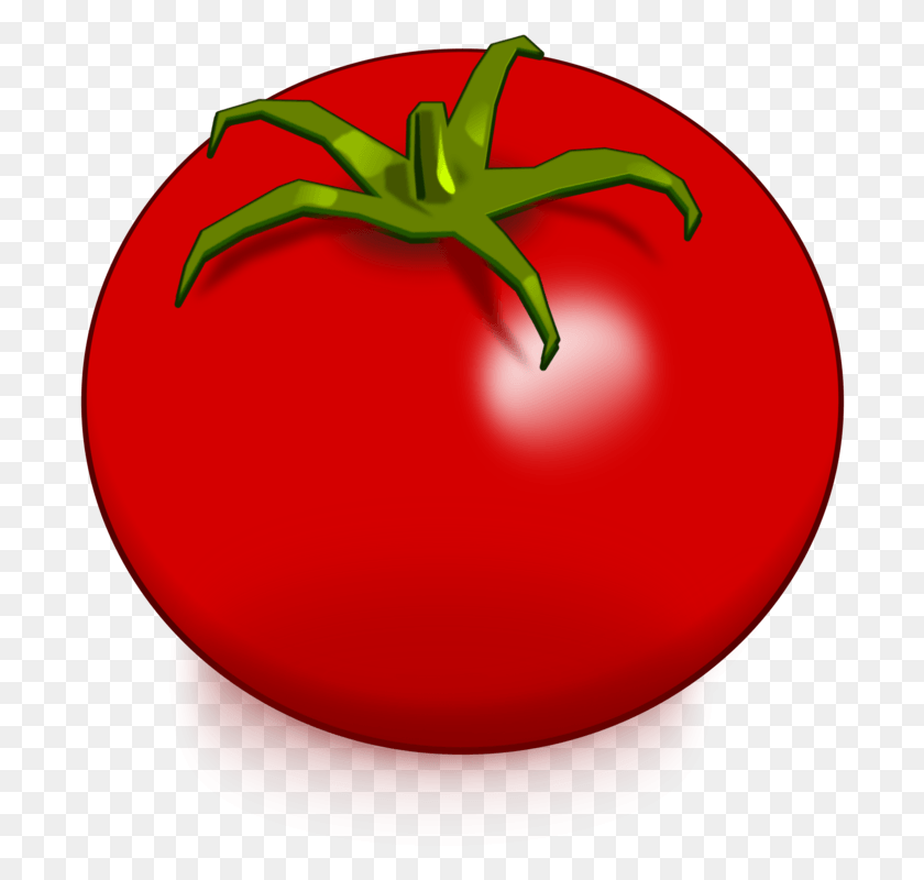 696x740 Tomato Soup Vegetable Pomodoro Technique Food Drawing Clipart Tomato, Plant HD PNG Download