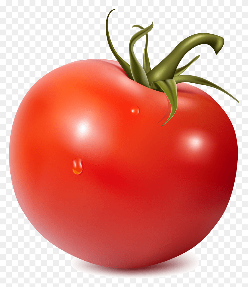 2364x2767 Tomato Tomato Clipart, Plant, Balloon, Ball HD PNG Download