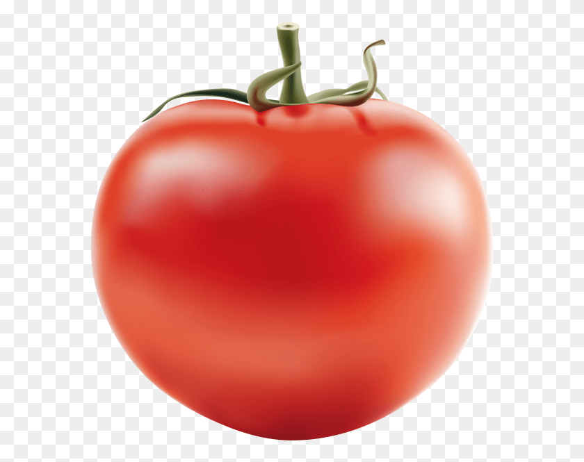 581x605 Tomato Tomato Jpg, Plant, Balloon, Ball HD PNG Download
