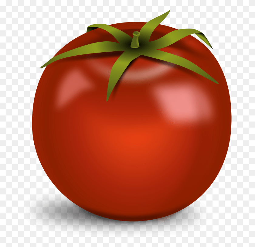 686x753 Tomato Transparent Image Images Tomato With No Background, Plant, Vegetable, Food HD PNG Download