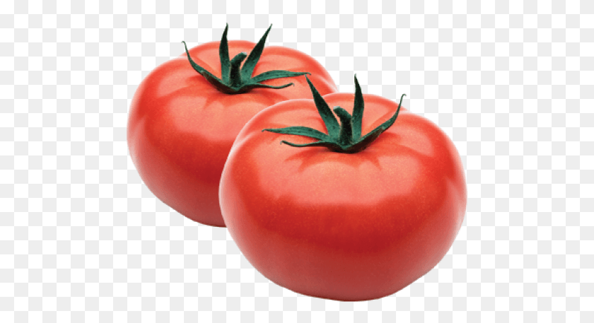 487x397 Tomate Png / Tomate Png