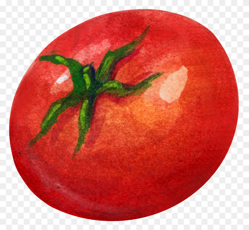 1352x1245 Tomate Png / Tomate Ciruela Png