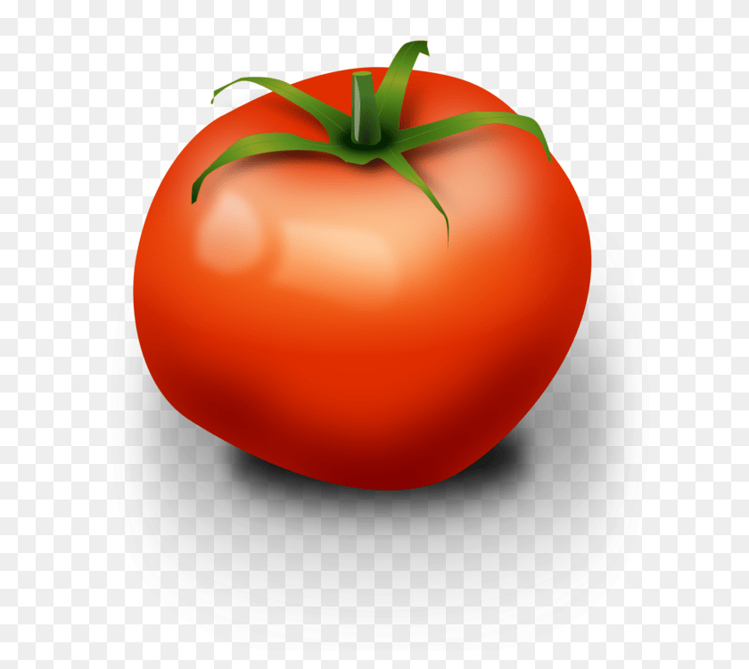 Tomato Vegetable Fruit Computer Icons Onion, Food, Plant, Produce PNG