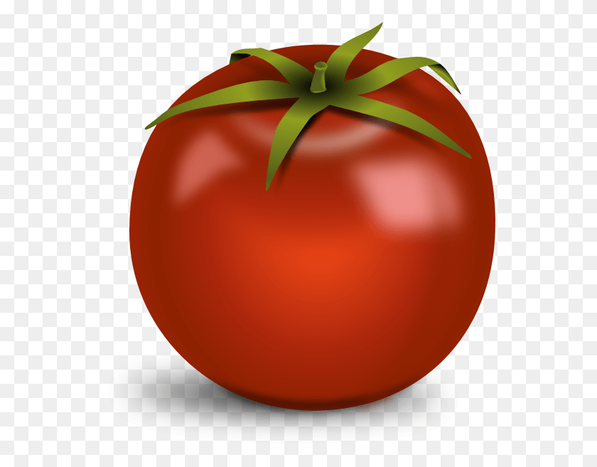 555x597 Tomato With No Background, Plant, Vegetable, Food HD PNG Download