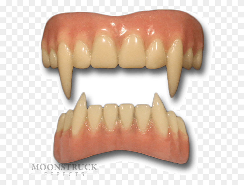 626x577 Tooth, Teeth, Mouth, Lip HD PNG Download