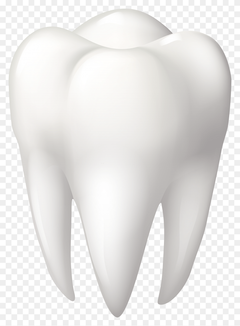 5681x7874 Tooth Molar Clip Art Molar Tooth Clipart, Lamp, Mammal, Animal HD PNG Download