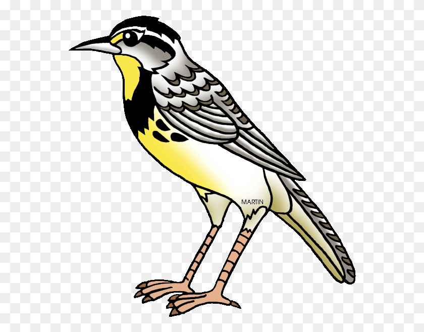 570x597 Top 92 Lark Clip Art Western Meadowlark Clipart, Bird, Animal, Finch HD PNG Download