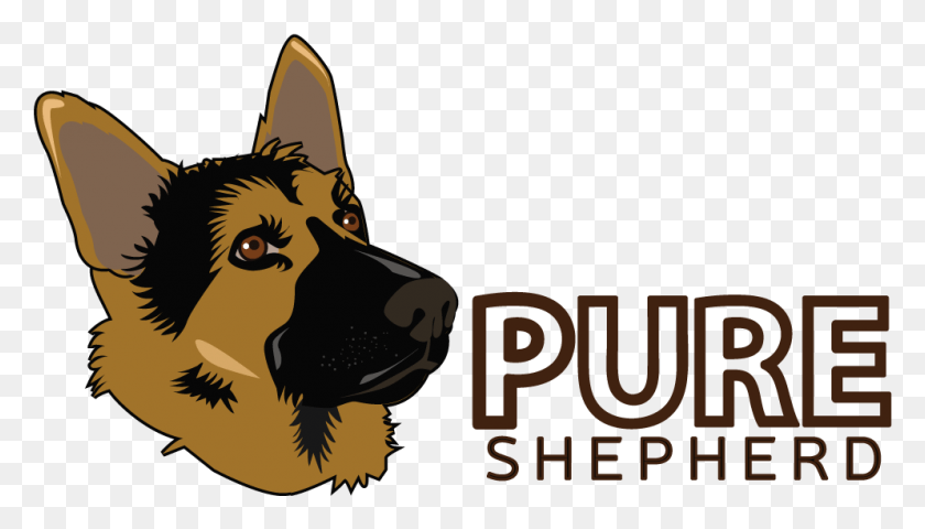 994x536 Top Dog Beds For German Shepherds Pure Shepherd Old German Shepherd Dog, Pet, Canine, Animal HD PNG Download