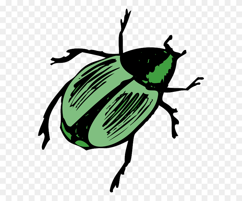 576x640 Top Green View Wings Shiny Insect Beetle Legs Beetle Clipart, Invertebrate, Animal, Bird HD PNG Download