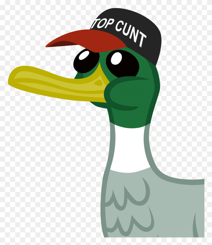 852x994 Top Gun Hat Duck With Gun, Bird, Animal, Beak HD PNG Download