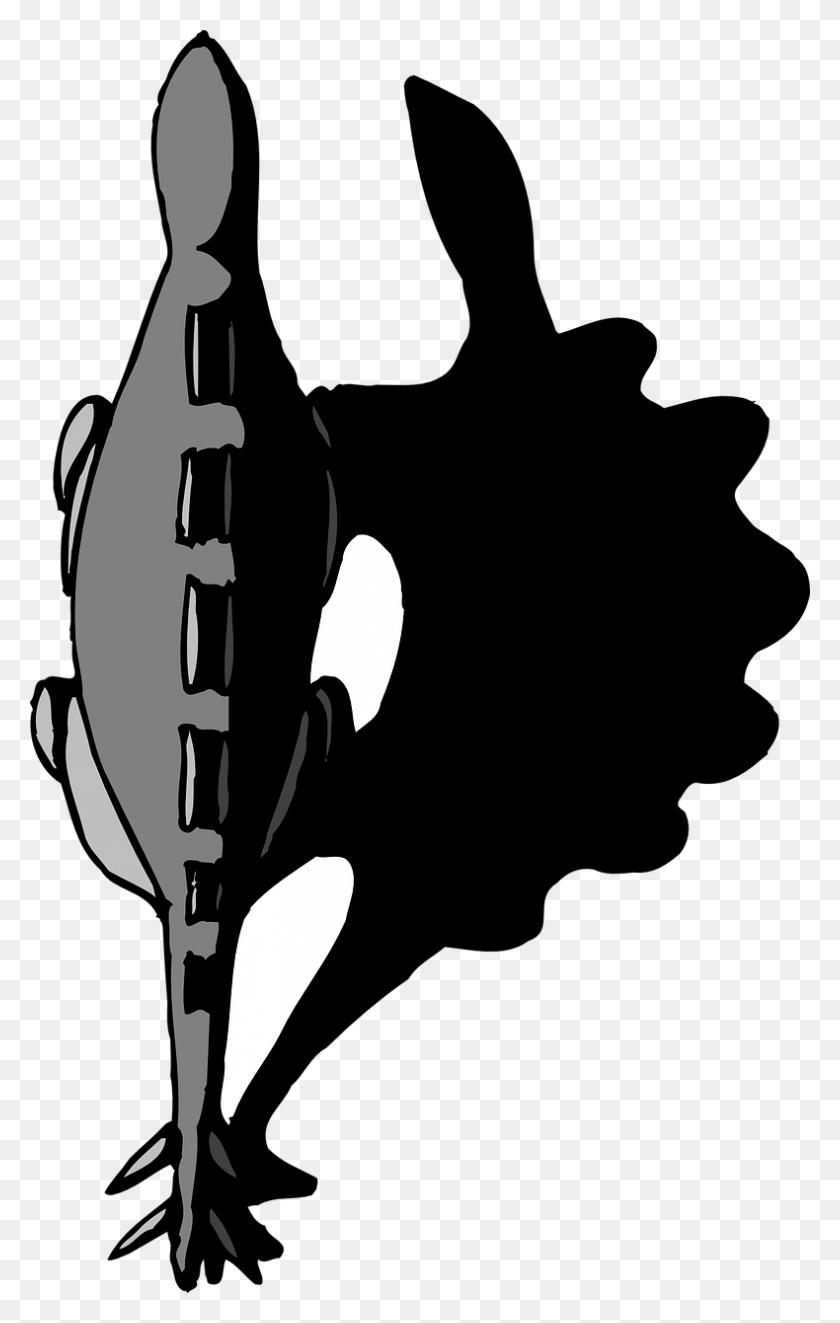 790x1280 Вид Сверху Shadow Dinossauro Sombra, Досуг, Музыкальный Инструмент, Саксофон Hd Png Скачать