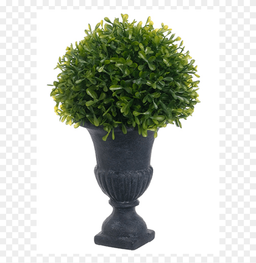 601x801 Topiary Flowerpot, Plant, Vegetation, Potted Plant HD PNG Download