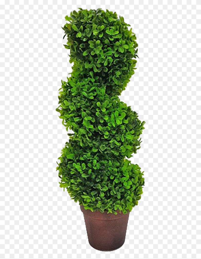 379x1022 Topiary Tree Spiral Grass, Bush, Vegetation, Plant HD PNG Download