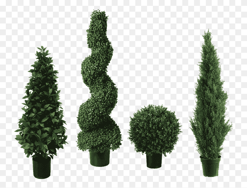 746x581 Topiary Trees Topiary, Vegetation, Plant, Tree HD PNG Download