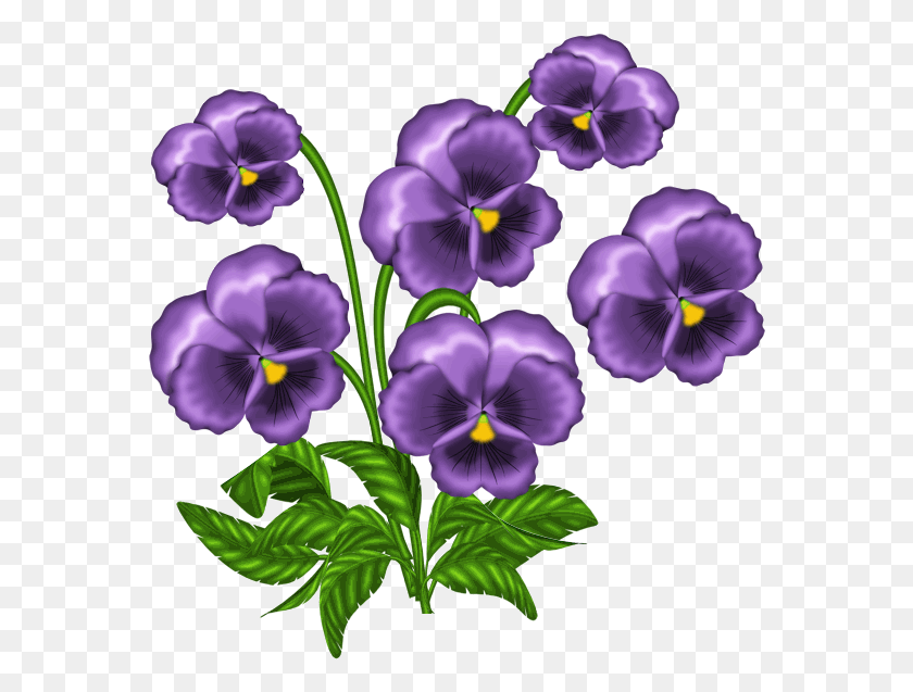 Toporasi Clipart, Plant, Flower, Blossom HD PNG Download