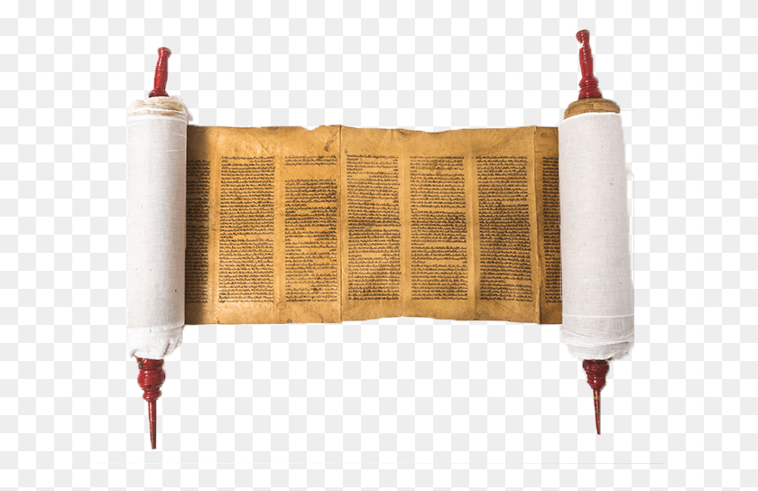 630x484 Descargar Png / Torah Net, Scroll Hd Png