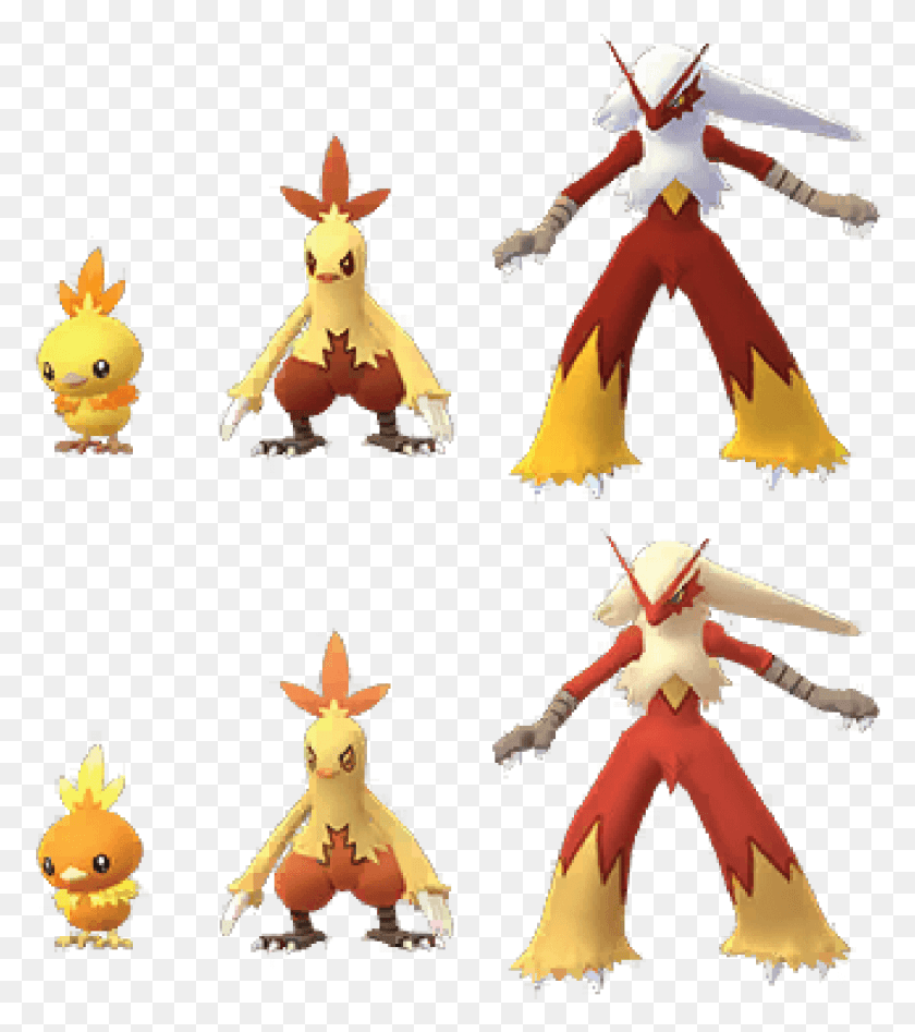 1009x1148 Torchicshinyfamily Blaziken Pokemon Go, Circus, Leisure Activities, Person HD PNG Download