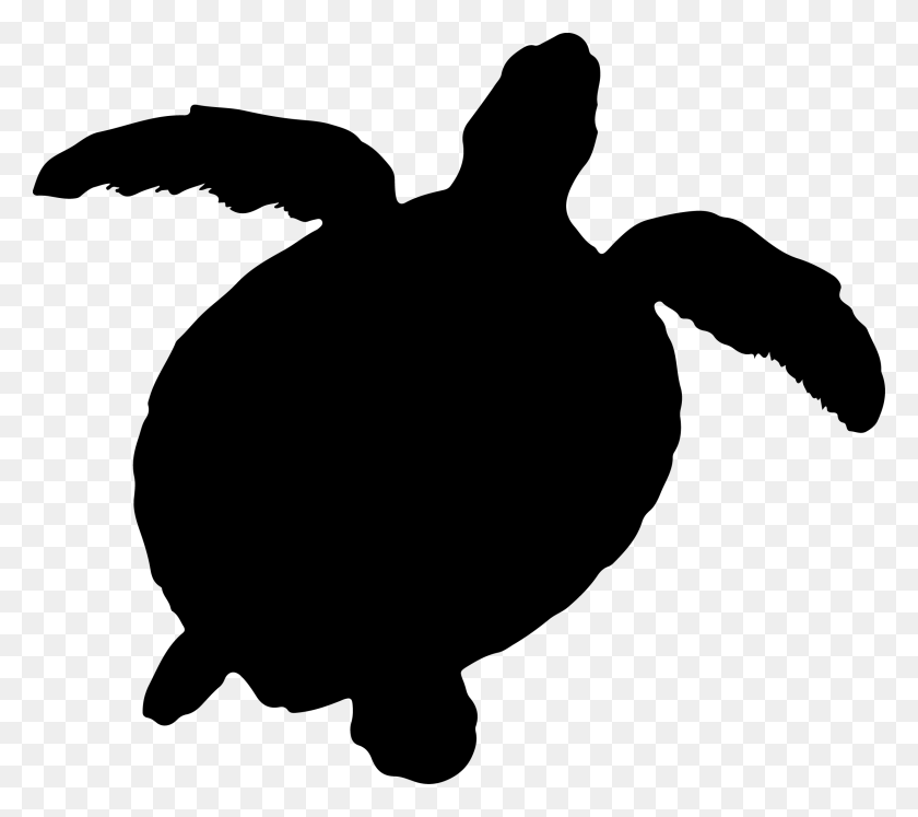 2226x1961 Черепаха Силуэт Графика Розовая Черепаха Силуэт, Морская Жизнь, Животное Hd Png Скачать