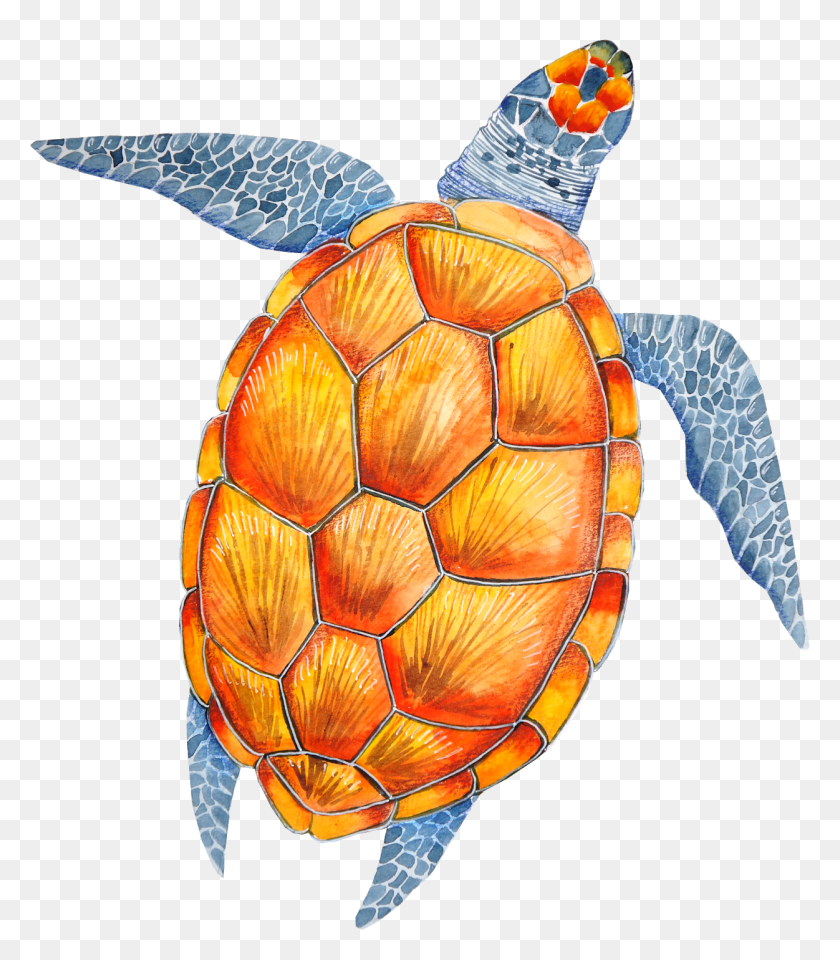 1251x1444 Tortoise Turtle Clip Art Tortoise Turtle Tortoise Sea Turtle, Soccer Ball, Ball, Soccer HD PNG Download