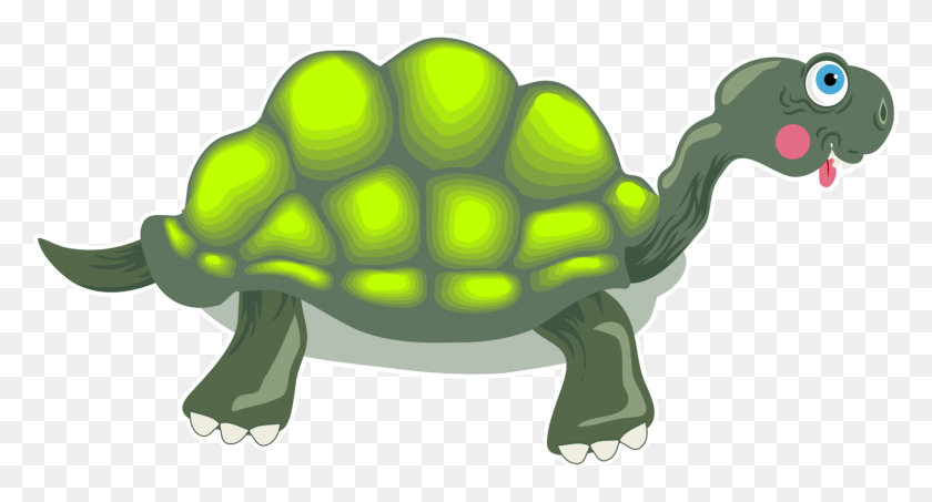 1486x750 Tortuga Png / Tortuga Png