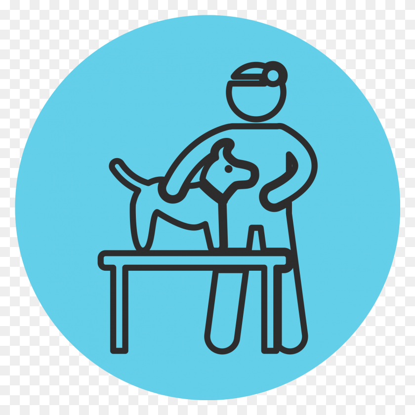 1506x1506 Total Solutions Icon Blue Ville De Saint Etienne, Chair, Furniture, Working Out HD PNG Download