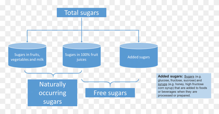 1872x911 Total Sugars Includes Naturally Occurring Sugars Added Classification Of Sugars, Cylinder, Diagram, Text HD PNG Download