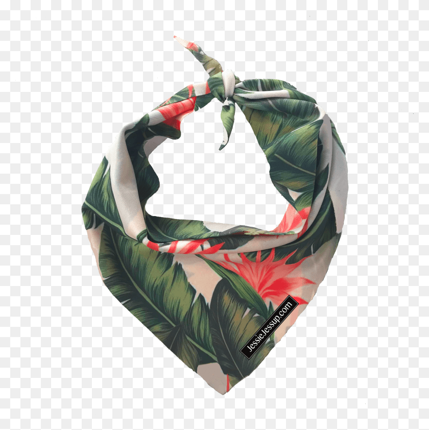 2950x2960 Tote Bag Descargar Hd Png