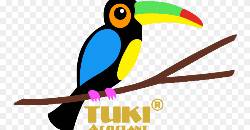 752x438 Toucan, Animal, Beak, Bird, Blade Clipart PNG
