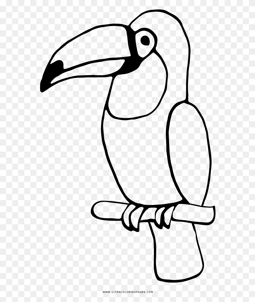 580x936 Toucan Coloring, Gray, World Of Warcraft HD PNG Download