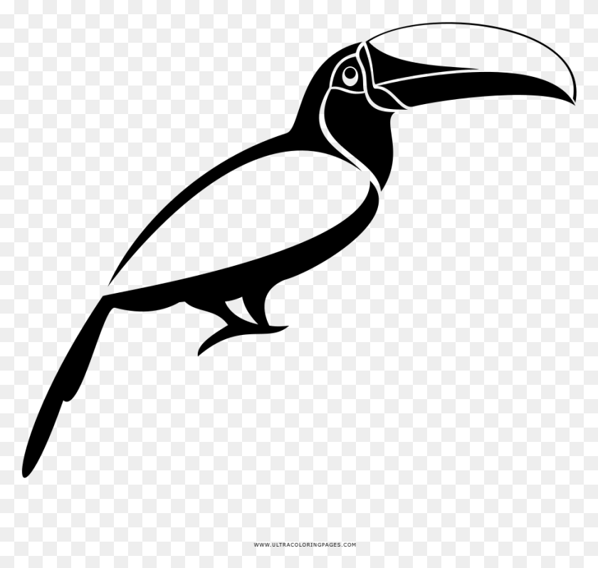 900x851 Toucan Coloring, Gray, World Of Warcraft HD PNG Download