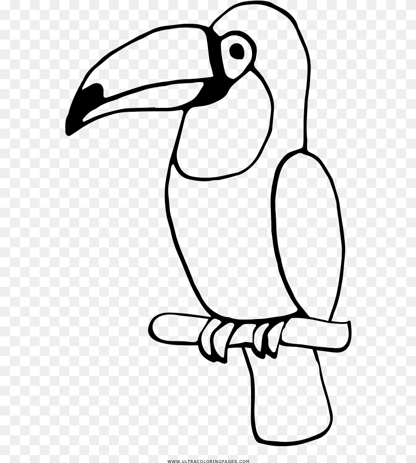 Toucan Coloring, Gray PNG