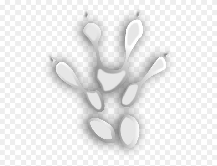 510x583 Trace 4 Images Hand, X-ray, Medical Imaging X-ray Film, Ct Scan HD PNG Download