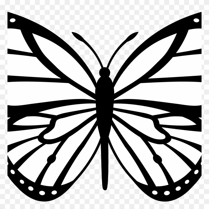 1024x1024 Traceable Butterfly Images With Free Butterfly Wing Butterfly Line Art, Stencil, Insect, Invertebrate HD PNG Download