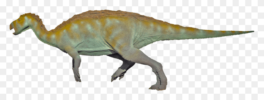 1040x347 T-Rex Png / Dinosaurio, Reptil, Animal, Hd Png